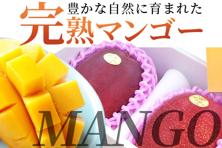 ＜先行予約【期間数量限定】2025年5月発送 宮崎県産完熟マンゴー2L 2玉化粧箱入＞(2玉入り)【MI515-yk】【みまたんよかもん協同組合】