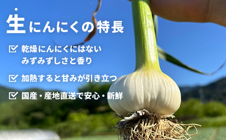 【先行予約】＜生にんにく サイズ混合 約1kg＞ 国産 ニンニク 生 野菜 香味野菜 薬味 大蒜 ガーリック 1キロ 西予市産 旬 旬の野菜 生ニンニク 農産物 おすそ分け 自宅用 家庭用 ノムランド