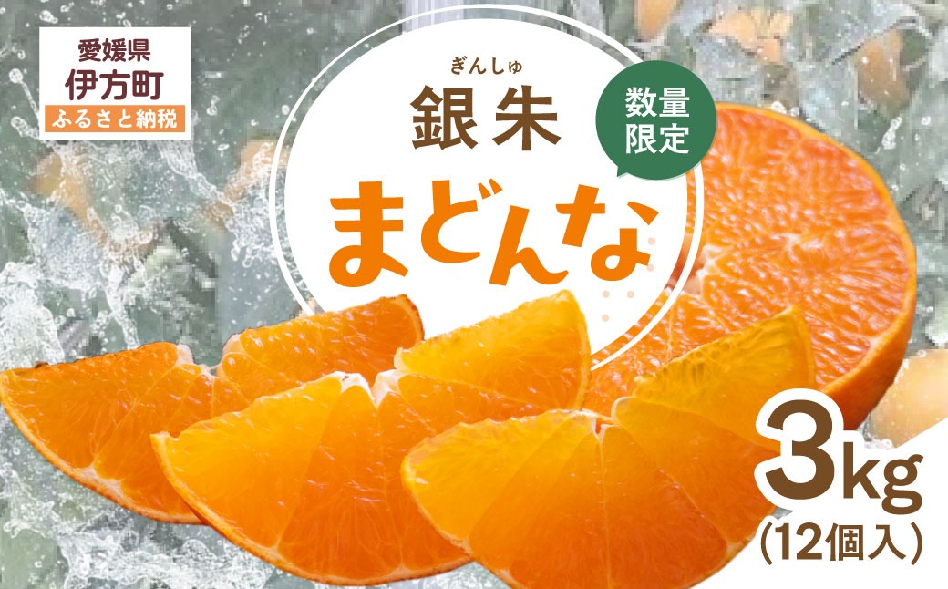 【先行受付】【数量限定】銀朱まどんな（生果）12個入り（3kg)（2026年11月下旬頃より順次発送） IKTQ007