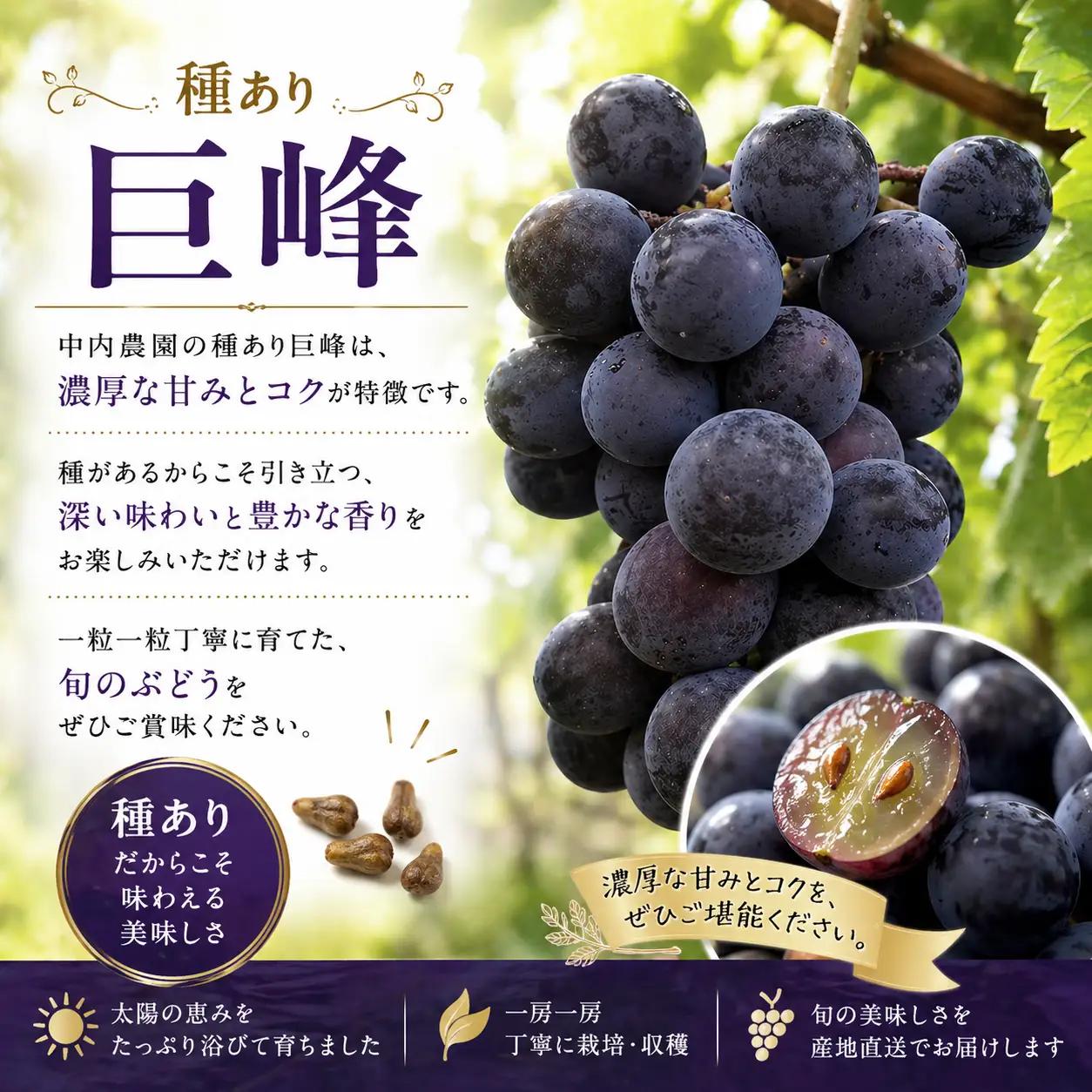 ぶどう 巨峰 種あり 5kg 巨峰