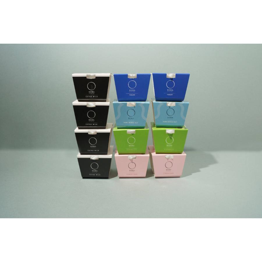 ＜NOWA＞THE ICE 5種食べ比べセット 100ml×12個