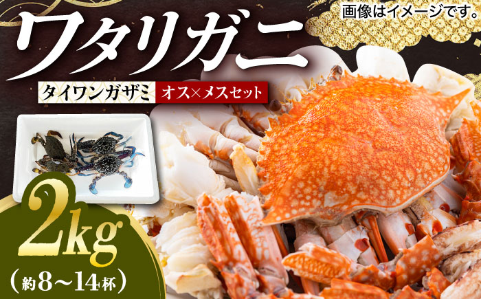 【先行予約】【2026年8月以降順次発送】豊前海産 タイワンガザミ 2kg (8-14杯前後) オス メス セット 《築上町》【明青丸】 ワタリガニ 渡り蟹 蟹 カニ [ABCB003]
