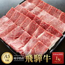 【ふるさと納税】飛騨牛A5 赤身肉 焼肉用 1kg（500g×2パック） モモ 又は カタ 肉 ｜国産 肉 牛肉 焼肉 和牛 黒毛和牛 赤身 グルメ A5等級 おすすめ AD125 【飛騨牛 和牛ブランド 飛騨牛 黒毛和牛 飛騨牛 岐阜 大野町 飛騨牛】