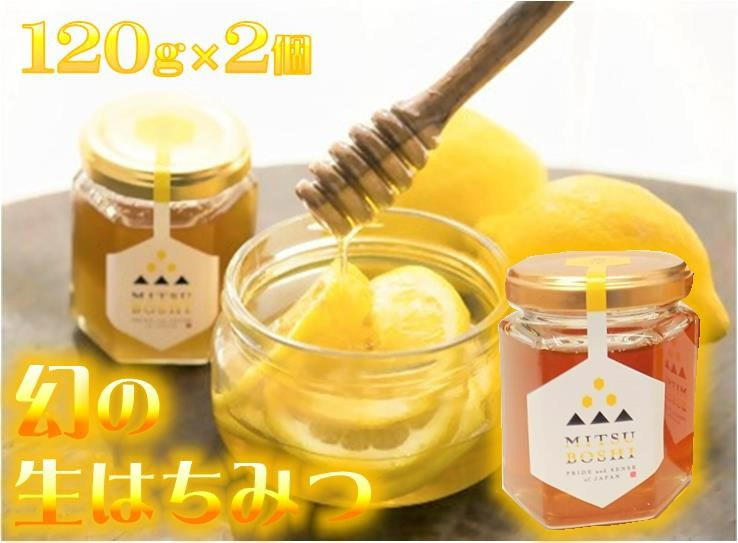 
            ニホンミツバチ100%の蜂蜜　2本入りギフトセット
          