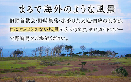 野崎島ガイドツアー 2名様 ＜小値賀町＞長崎県 五島列島 小値賀 ガイドツアー 島旅 旅 世界遺産  2人 ペア  [DAJ012]
