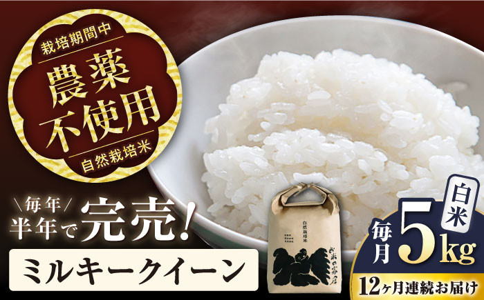 
            【先行予約/令和7年産新米】【全12回定期便】ミルキークイーン 5kg 白米 自然栽培米  滋賀県長浜市/株式会社お米の家倉 [AQCP018] 米 定期便 白米  5kg ミルキークイーン 自然栽培米  滋賀県産 長浜市産 こめ 玄米 白米 精米 お米 新米 食品 ふるさと納税 国産 炊きたて 米ギフト もちもち ブランド米  食卓 美味しい 産地直送 節約 人気
          