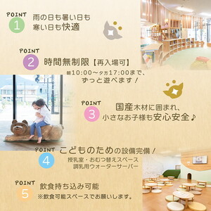入場券 休日/2枚 チケット 自然を感じる遊び場【KIRI no KO】 京都 きりのこ キリノコ