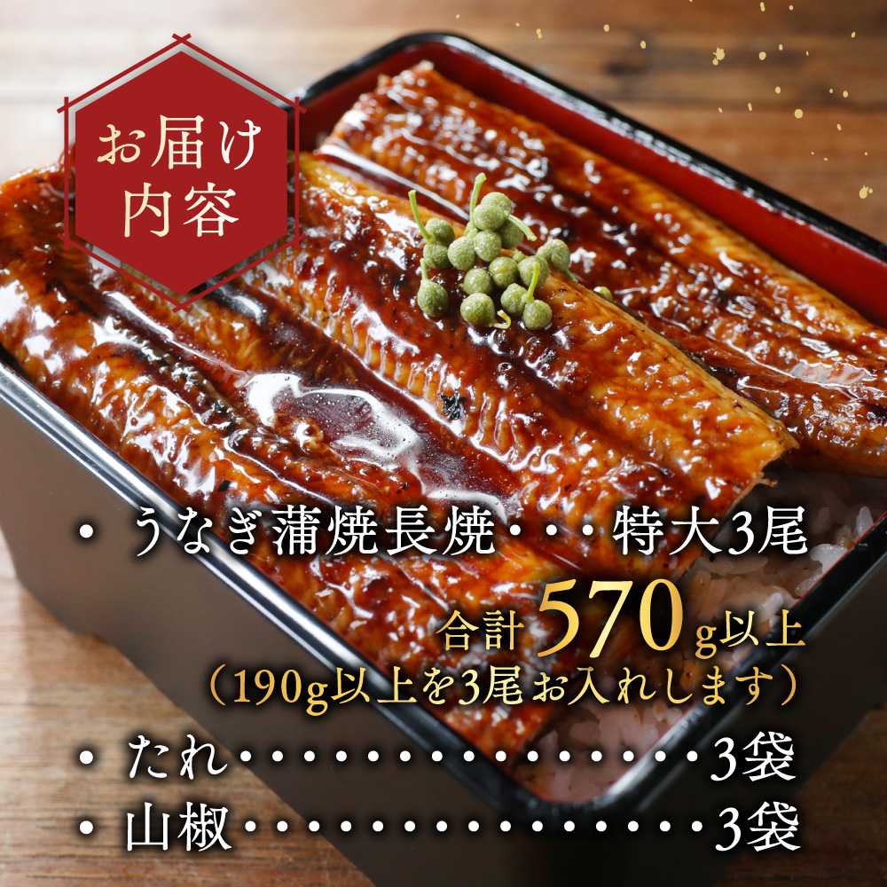 （6月）国産 特大 特上うなぎ(190g×3尾)【OT000OC30_006】_イメージ5