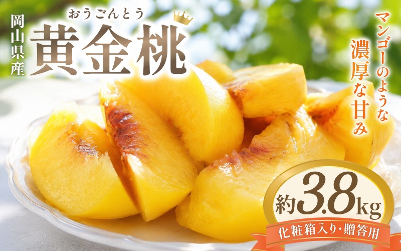 先行予約 岡山県産 黄金桃 3.8kg 化粧箱入り・贈答用 高級 おうごんとう 花田青果【2026年9月初旬～9月中旬まで順次発送予定】/ 桃 もも モモ 果物フルーツ 贈答品 贈り物 岡山県【hnds010】