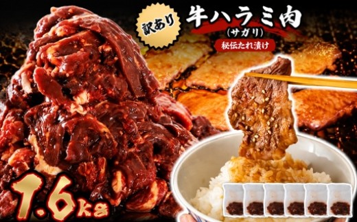 
                  秘伝たれ漬け 訳あり 柔らか牛ハラミ(サガリ)肉 味付け合計1.6kg 便利な小分け5パック【1600579】
                