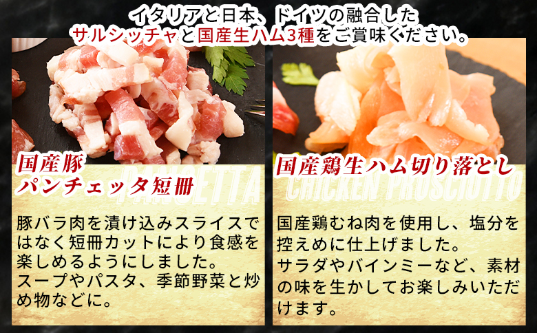 ＜国産生ハム3種と肉汁サルシッチャ 肉バルセット＞合計700g 国産 サルシッチャ ソーセージ 鶏肉 鶏生ハム 生ハム 豚モモ 豚バラ パンチェッタ サラダ スープ パスタ サンドイッチ おつまみ 晩