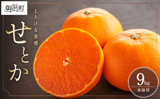 【2027年発送先行予約品】ミカファームのせとか9キロ（家庭用）【数量限定 果物 フルーツ みかん せとか デザート 9kg 三重県 御浜町】
