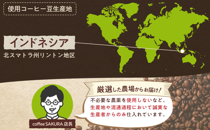 マンデリンコーヒー(豆)　リントン　200g×2 / 珈琲 コーヒー マンデリン / 瀬戸市 / Ｃｏｆｆｅｅ　ＳＡＫＵＲＡ [BBAB138] 豆