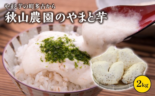 やまと芋の町 多古から「秋山農園のやまと芋」2kg TAKF049