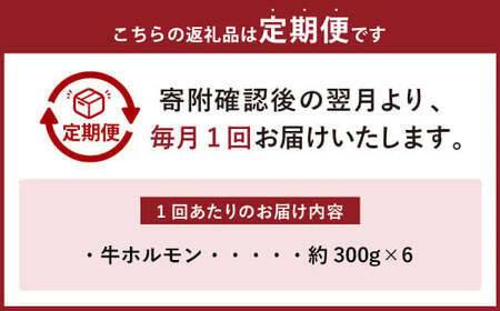 【6ヶ月定期便】焼くだけ総菜 肉の卸 石井 牛ホルモン 約1.8kg（約300g×6）×6回　計約10.8kg ／ 6回定期便ホルモン 牛肉 お肉 肉 簡単調理 味付き たれ漬け おかず 総菜 惣菜 
