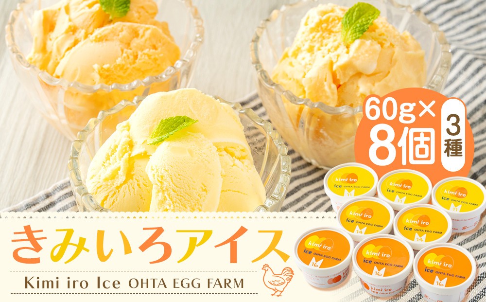 
            きみいろアイス　60g×8個
          