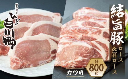 白川郷 結旨豚 ロースかつ 豚肉 計800g 豚肉
