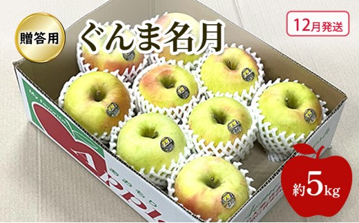 
                  [№5554-0439]【12月発送】 りんご ぐんま名月 贈答用 約 5kg 林檎 フルーツ 果物 ギフト 青森県 鶴田町
                