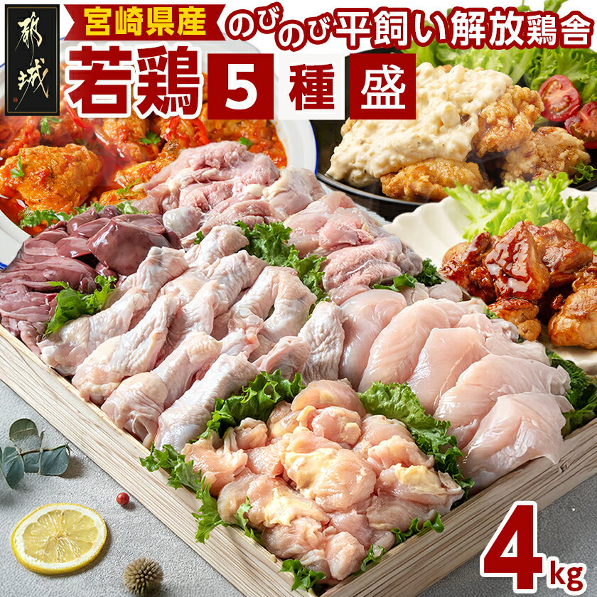 【ふるさと納税】宮崎県産若鶏 5種盛4kgセット - 鶏肉 モモ ささみ 手羽元 各1kg 肩小肉 レバー 各500g 冷凍 送料無料 AA-G302【宮崎県都城市は2年連続ふるさと納税日本一！】