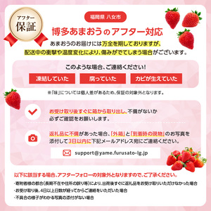 【先行受付：2025年2月発送開始】博多あまおうＧ270g×8パック｜ＪＡふくおか八女　002-023