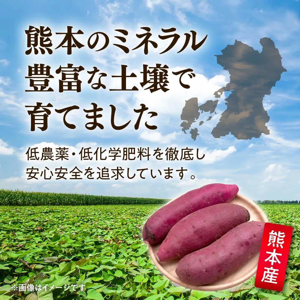 【訳あり】紅はるか さつまいも 約5kg 2S?3Lサイズ混合 さつまいも[AYAT010]
