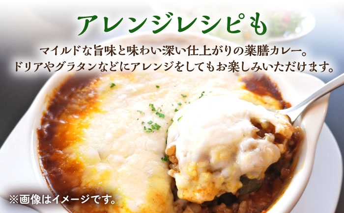 【12回定期便】薬膳スパイスビーフカレー 4食（200g×4） /自然庵 [UCQ009] カレー レトルトカレー 牛肉 牛 ビ