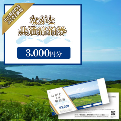 ながと共通宿泊券3,000円分【1343878】