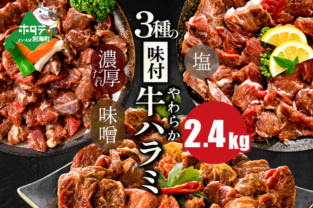 【ふるなび限定】3種の味付け 牛ハラミ2.4kg（塩・味噌・醤油）【NS0000032】FN-Limited