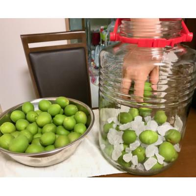 ふるさと納税 由良町 2026/6月より発送【梅干し・梅酒用】紀州和歌山の熟南高生梅　MorL-2kg |  | 02