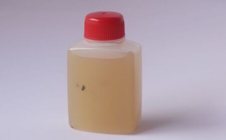 国産黒毛和牛A4A5ランク シャトーブリアン 500g 冷凍 醤油ダレ