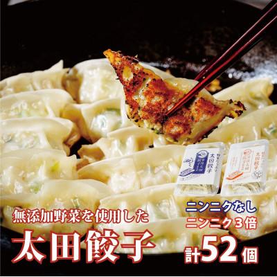 ふるさと納税 常陸太田市 無添加野菜を使用したなごみ家 冷凍生餃子52個(にんにく不使用&amp;にんにく3倍13個入り×各2パック)