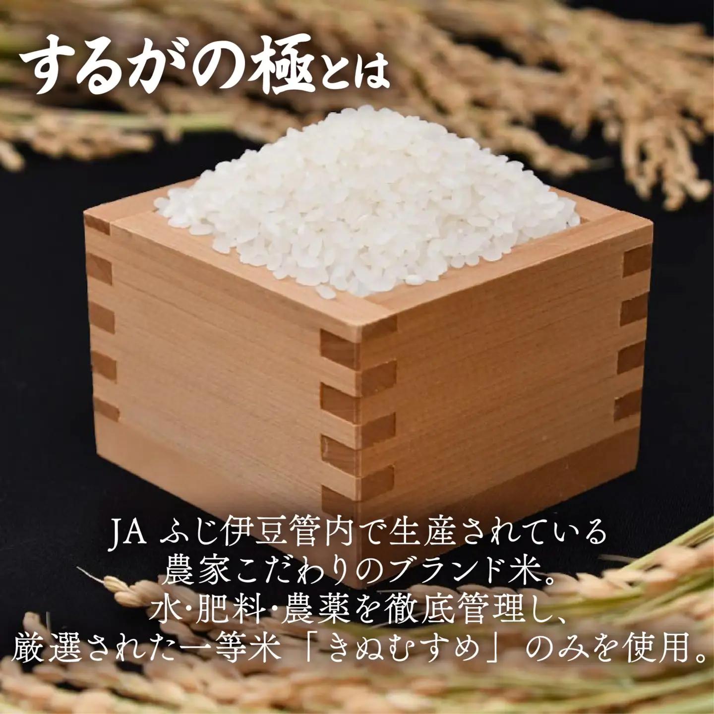 きぬむすめ 5kg 令和7年 するがの極 米 コメ こめ 長泉