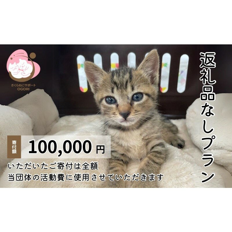 【ふるさと納税】保護猫活動を応援！返礼品無し 100,000円 (お礼状送付) 保護猫