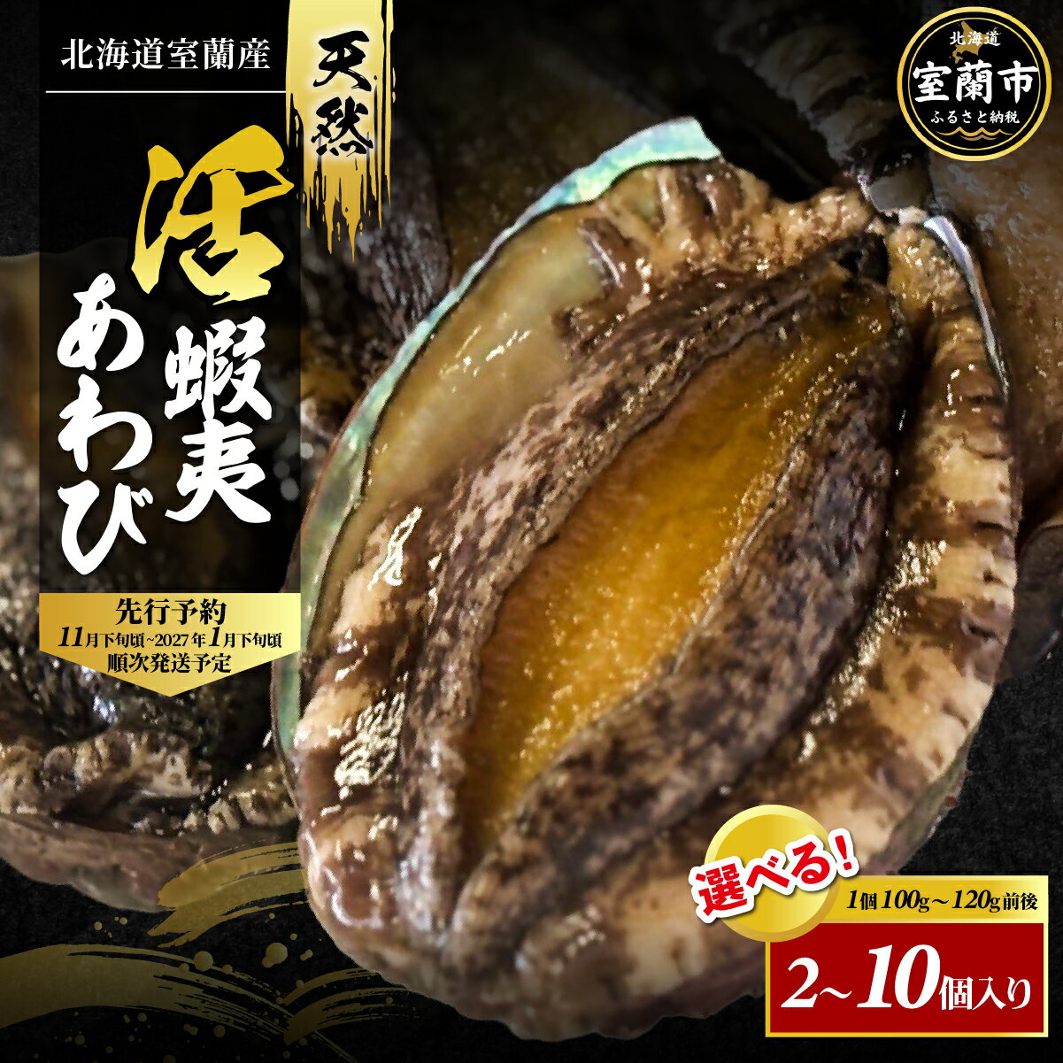 【ふるさと納税】【先行予約】北海道室蘭産 天然活蝦夷あわび 選べる 2個入 ～ 10個入（1個100g～120g前後）2026年11月下旬頃～2027年1月下旬頃順次発送 あわび アワビ 天然 コリコリ 旨味 肉厚