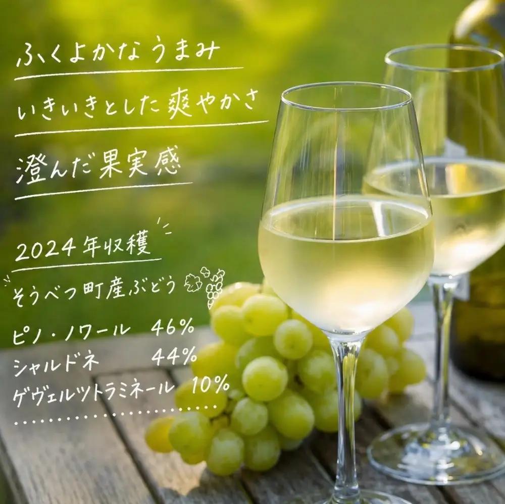 昭和新山ワイン Montagne 2024 無濾過(モンターニュ） 白ワイン 辛口 750ml 1本 SBTQ013