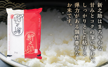 【令和7年産米】新潟県村上市産新之助6kg　A4034 