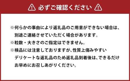 朝採り ニューピオーネ 約2kg （3～4房） 【2025年8月下旬から9月下旬発送予定】 ／ ぶどう 葡萄 果物 果実 フルーツ 大粒 岡山県 美咲町 冷蔵