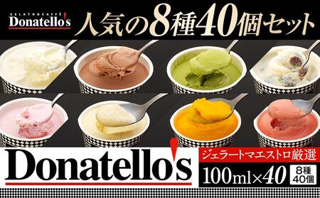 ジェラートマエストロ厳選《ドナテロウズ》ジェラート8種40個セット AGR0004