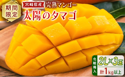 
            完熟マンゴー＜太陽のタマゴ＞2L×3玉（計1kg以上）化粧箱入 宮崎県産 フルーツ くだもの 国産【E167-25】
          