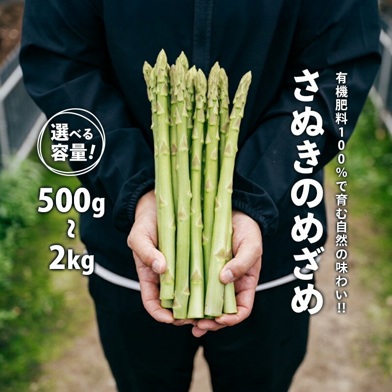 【ふるさと納税】 グリーンアスパラガス さぬきのめざめ 500g～2kg 有機肥料 朝採れ 人気 シャキシャキ 新鮮 美味しい 甘い 特産 グルメ 青空レストラン バーベキュー サラダ BBQ アスパラ アスパラガス 高品質 希少 フレッシュ 野菜 旬 丸亀市 香川県 SUKINOKA スキノカ