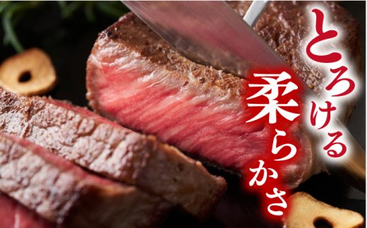 モモステーキ【A4～A5】長崎和牛 モモステーキ　約500g（100g×5p）＜株式会社MEAT PLUS＞ [CFT013]