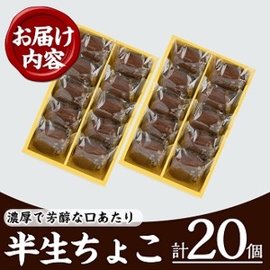 ひとくちチョコケーキの決定版！ 半生チョコケーキ20個 半生チョコケーキ10個×2セット 20個詰合せ おやつのチョコケーキにぴったり!【A-1427H】