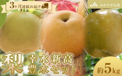 
                  【JAみやぎ仙南】梨「幸水」「豊水」「新高」セット 約5kg　3ヶ月連続お届け
                
