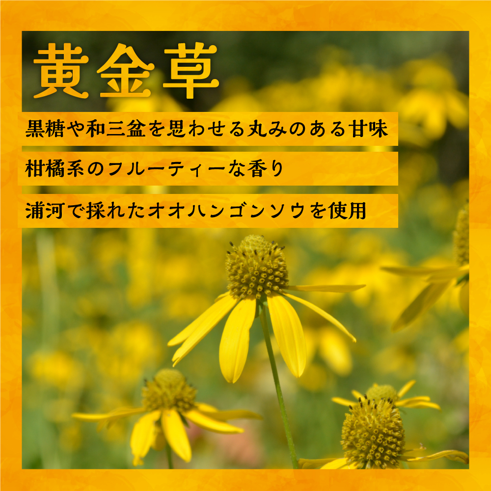 国産純粋完熟はちみつ3種セット(れんげ･萩･黄金草)ご家庭用計1.5kg[16-1158]_イメージ4