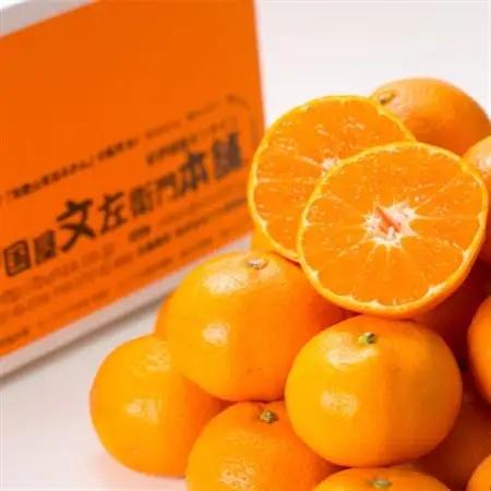 有田みかん約7.5kg(+傷み補填分500g)ニ合計8kg【サイズおまかせ】薄皮で甘い美味しいみかん【1220665】