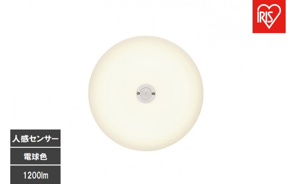 
            LED小型シーリングライト 人感センサー付 　電球色 SCL12L-MS-U2
          