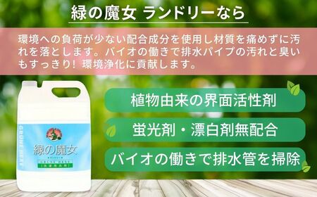 一石二鳥　洗剤+パイプクリーナーの機能可　次世代型環境配慮型洗剤 緑の魔女ランドリー5L×1【洗濯洗剤 液体洗剤 洗剤 洗濯 液体 ドラム式 エコ 環境 大容量 洗濯洗剤 液体洗剤 洗剤 洗濯 液体 