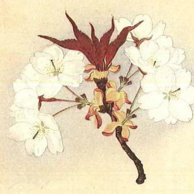 ふるさと納税 桜川市 「桜川七宝」より初見桜の七宝ペンダント |  | 02