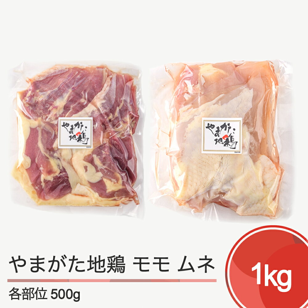 【ふるさと納税】やまがた地鶏 モモ ムネセット 送料無料 as-zdzmx