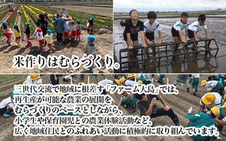【3ヶ月定期便】【射水市】【総理大臣賞】【三世代交流】【射水の美味しいお米】射水市 おおしま ほほ笑み米 R8年度産 富富富 20kg（5kg×4）【玄米】｜ お米 令和8年産米 銘柄米 こめ 小分け
